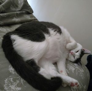 Meet your Posher, Heather